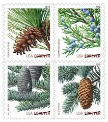 USPS 2009 Holiday Evergreens First Class Stamp