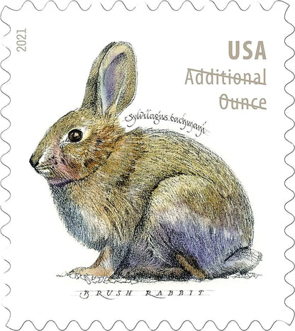 USPS 2021 Brush Rabbit Forever Stamp