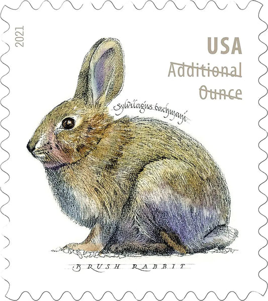 USPS 2021 Brush Rabbit Forever Stamp