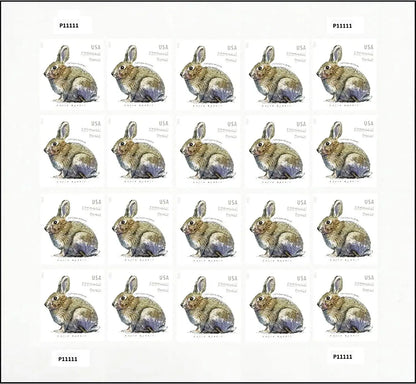 USPS 2021 Brush Rabbit Forever Stamp
