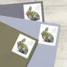 USPS 2021 Brush Rabbit Forever Stamp
