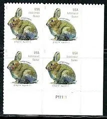 USPS 2021 Brush Rabbit Forever Stamp
