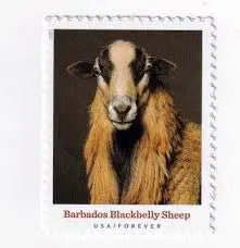 2021  new  heritage  breeds  usps  forever  postage  stamps