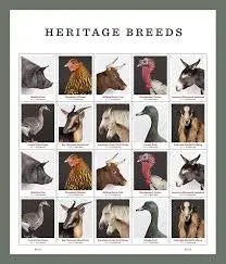 2021  new  heritage  breeds  usps  forever  postage  stamps