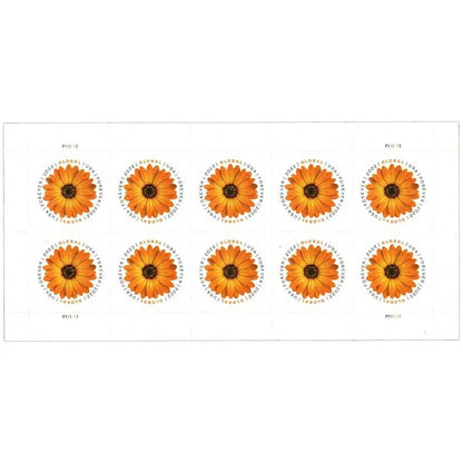 USPS 2022 Global Forever African Daisy Stamp