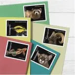 USPS 2023 Endangered Species Forever Stamp