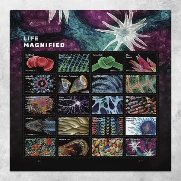 USPS 2023 Life Magnified Forever Stamp