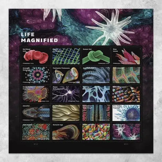 USPS 2023 Life Magnified Forever Stamp
