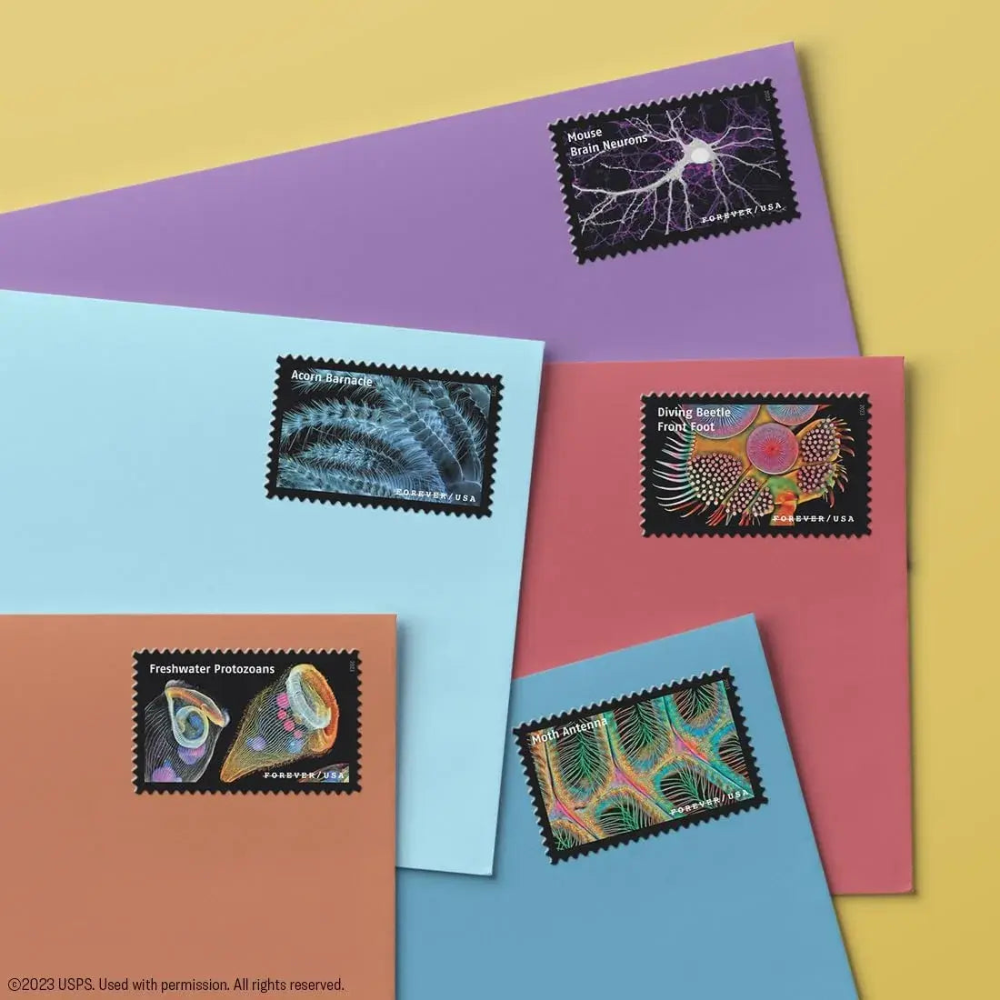 USPS 2023 Life Magnified Forever Stamp