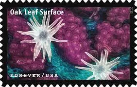 USPS 2023 Life Magnified Forever Stamp