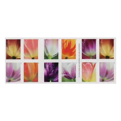 USPS 2023 Tulip Blossoms Forever Stamp