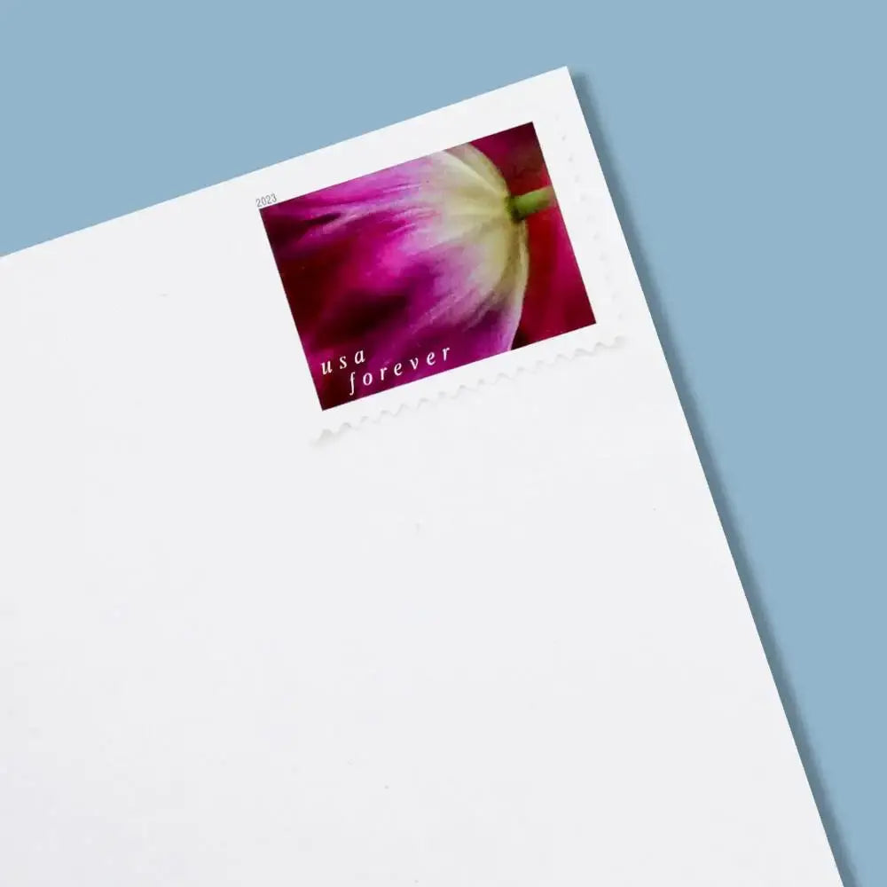 USPS 2023 Tulip Blossoms Forever Stamp