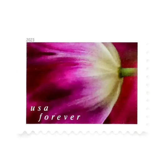 USPS 2023 Tulip Blossoms Forever Stamp