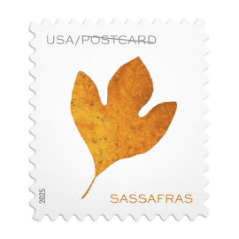 2025 Vibrant Leaves Postcard Stamps