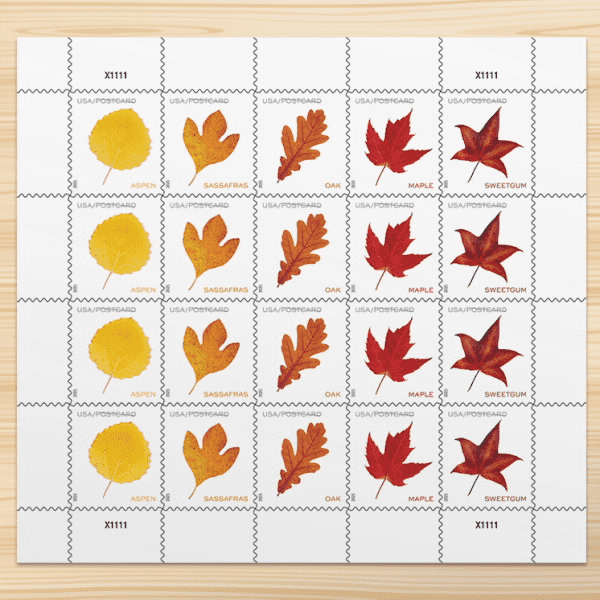 2025 Vibrant Leaves Postcard Stamps