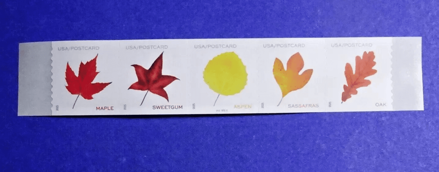 2025 Vibrant Leaves Postcard Stamps