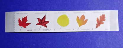 2025 Vibrant Leaves Postcard Stamps