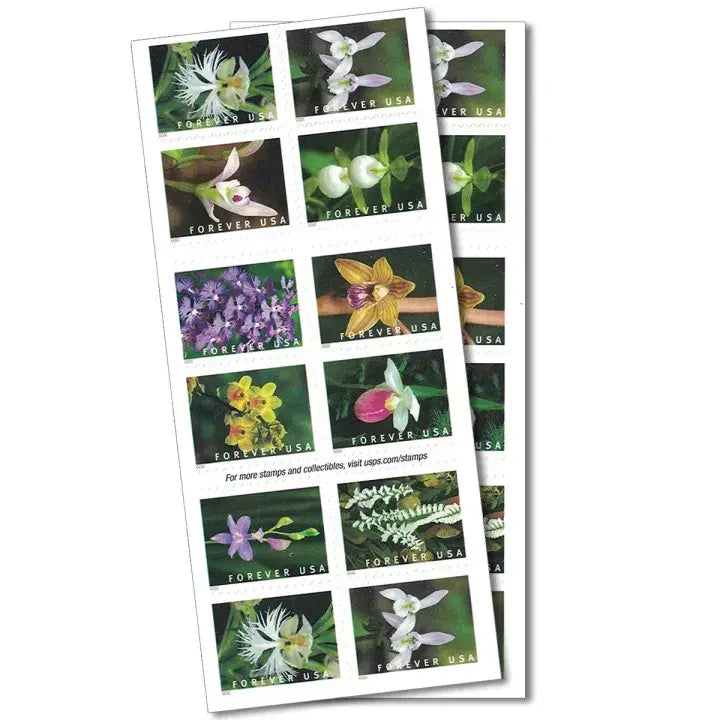 Wild Orchids Forever Postage 2020 US Stamps