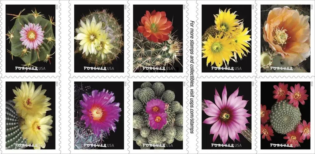 Cactus Flowers Forever First Class Postage 2019 US Stamps