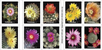Cactus Flowers Forever First Class Postage 2019 US Stamps