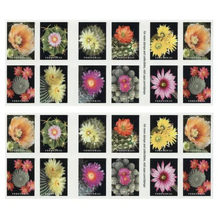 Cactus Flowers Forever First Class Postage 2019 US Stamps