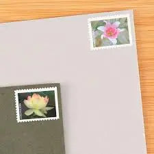 Garden Beauty Forever Postage 2021 US Stamps