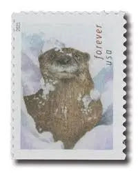 Otters in Snow Forever Postage 2021 US Stamps