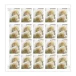 2011 US Wedding Roses Commemorative Forever  2011 US Stamps